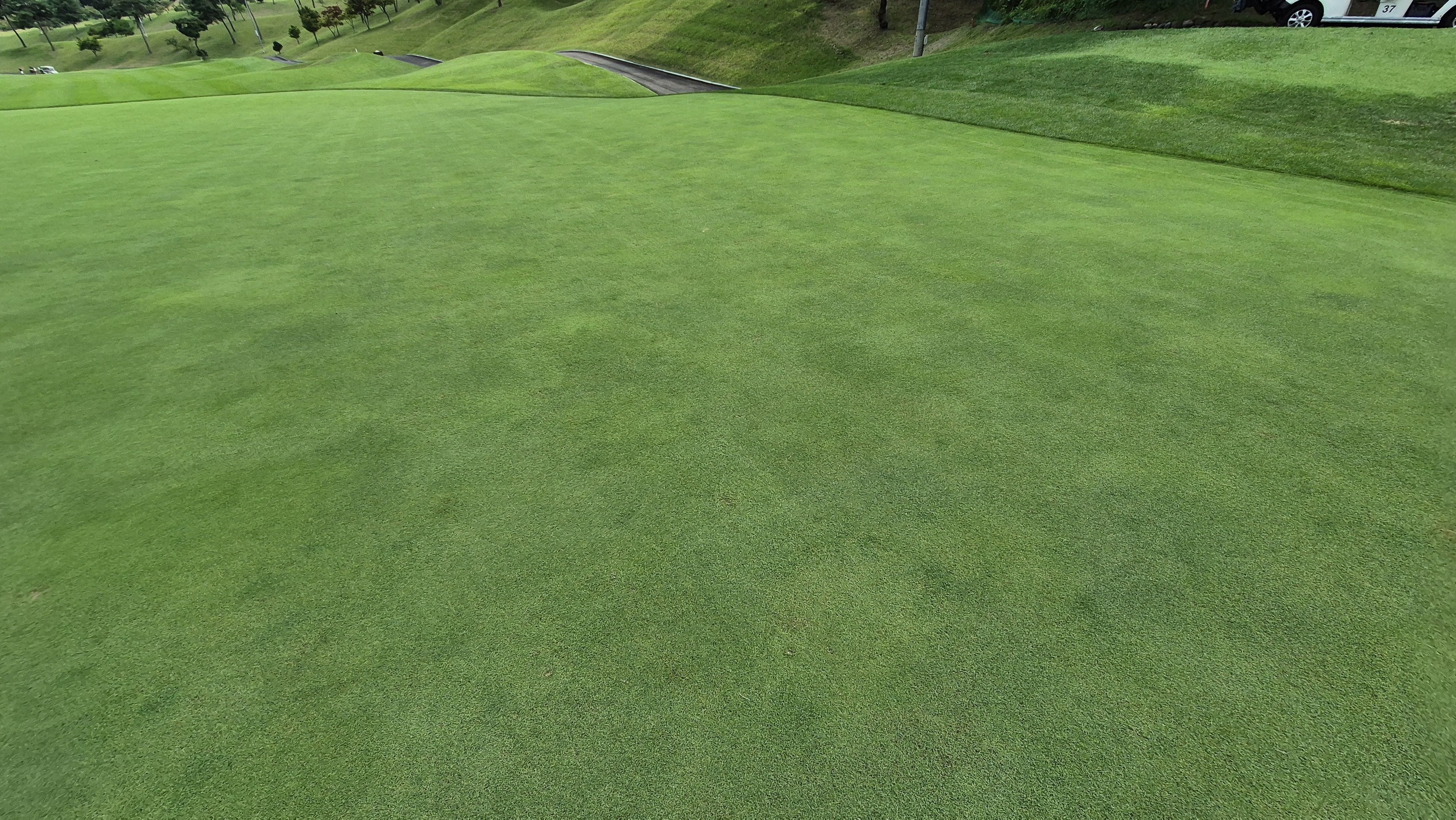 동원썬밸리cc 라운드 후기