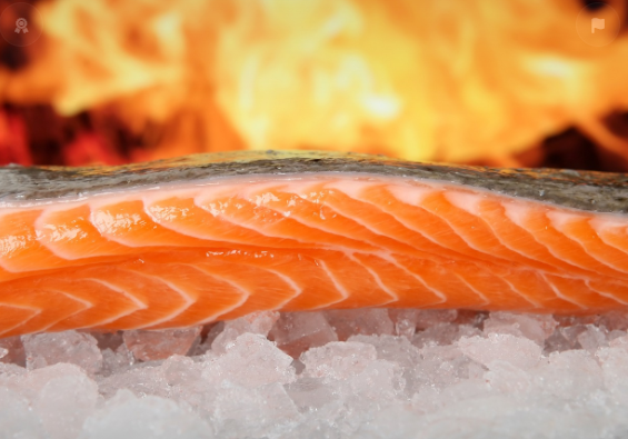 오메가3_고지혈증약_고지혈증에좋은연어사진