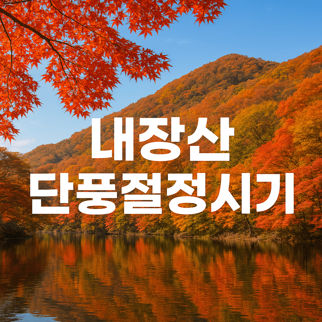내장산 단풍절정시기