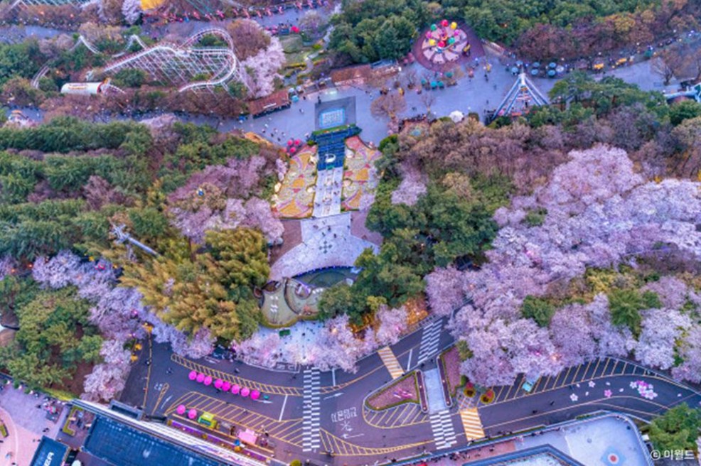 2024 이월드 블라썸 피크닉