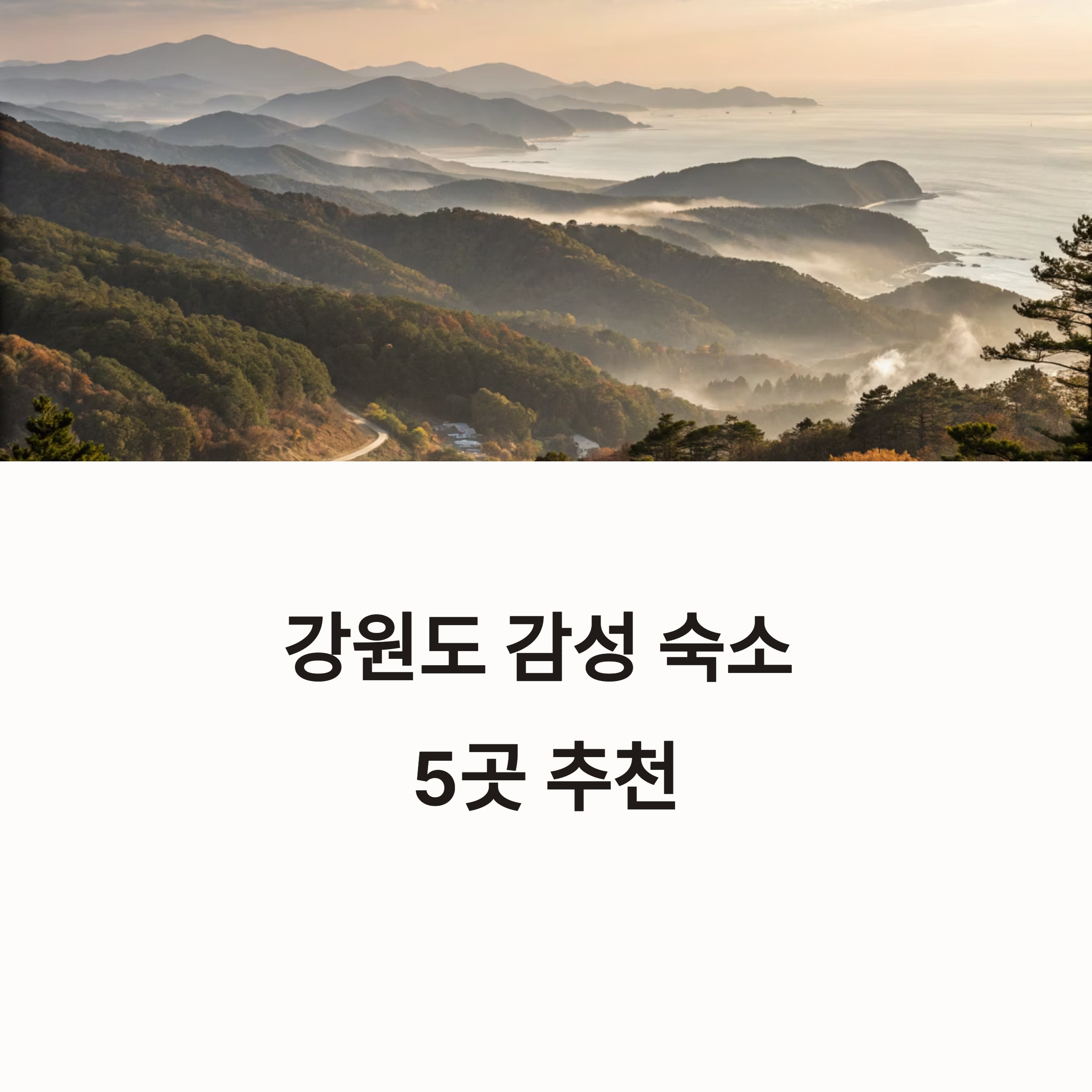 강원도 감성 숙소