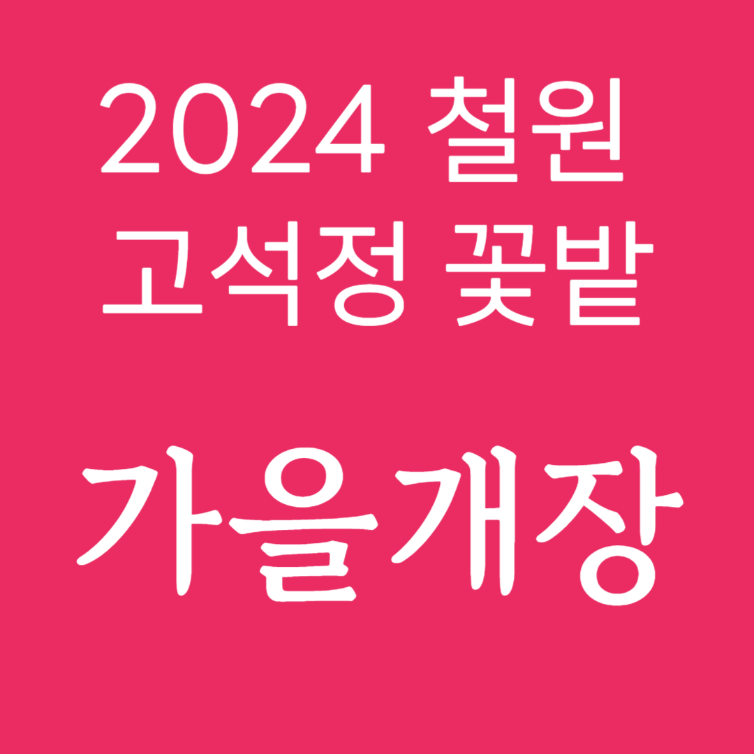 고석정 꽃밭 축제