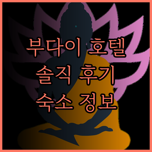 부다이 호텔, 후기 기반 솔직 리뷰!