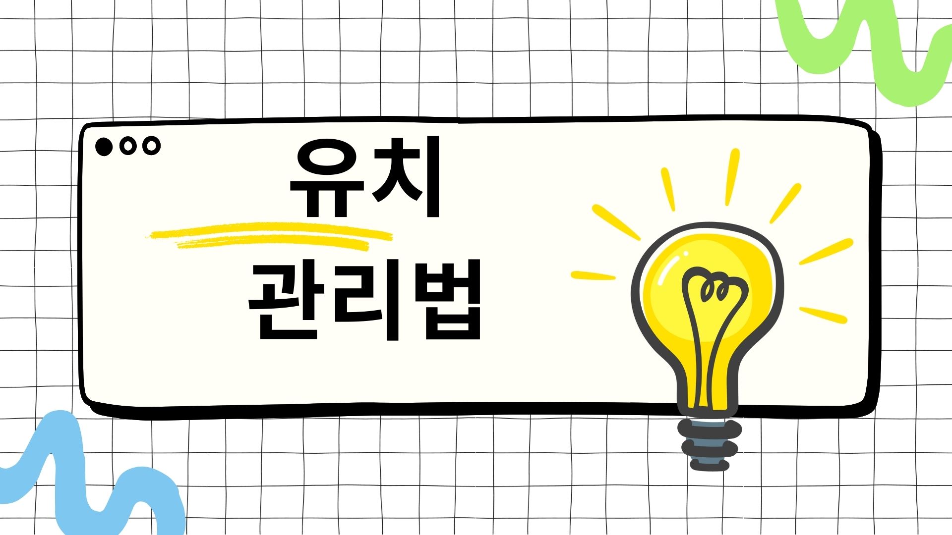 빠질 유치 치료해야하는 이유 유치 관리법