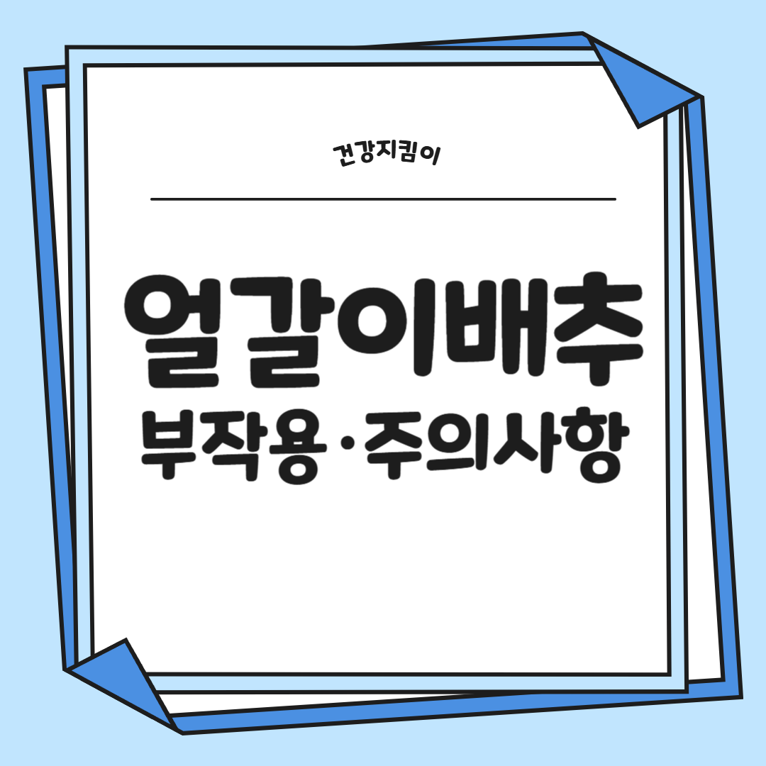 얼갈이 배추 효능 부작용 영양소 먹는방법