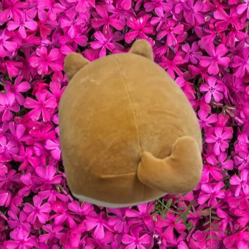 갤럭시 누끼따기