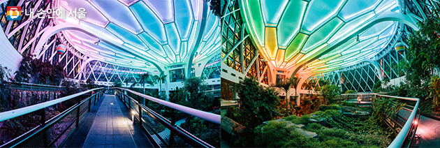 서울식물원 야간개장 취소표 예약 방법