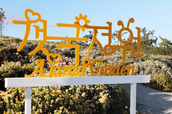 2025년 포토존 여행지 베스트