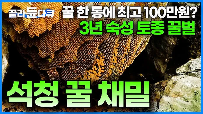 석청꿀 효능 7가지 보관방법 섭취 시 주의사항에 대해서 알아보기_5