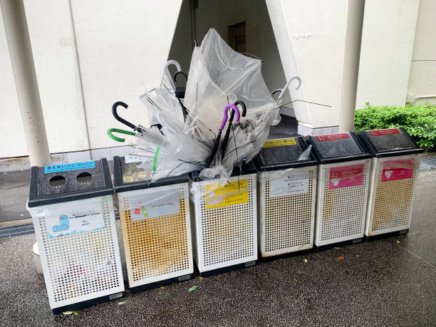 비닐우산, 비 오는 날 쓰고 어떻게 버리세요?