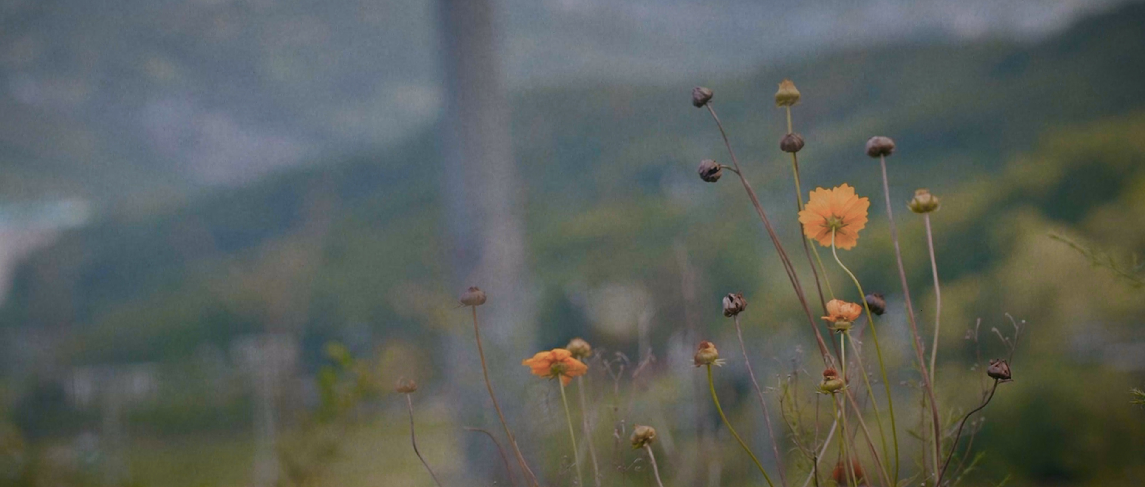 ⓒ뇽쌤&#44; Alpha 7 IVㅣSELP1635G