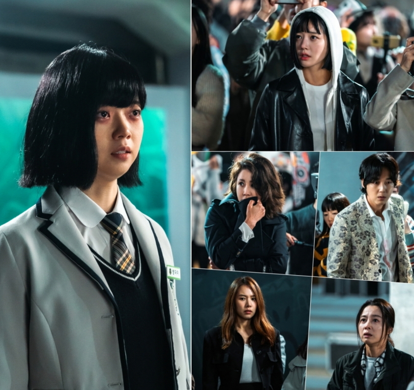 png 파일 이미지사진