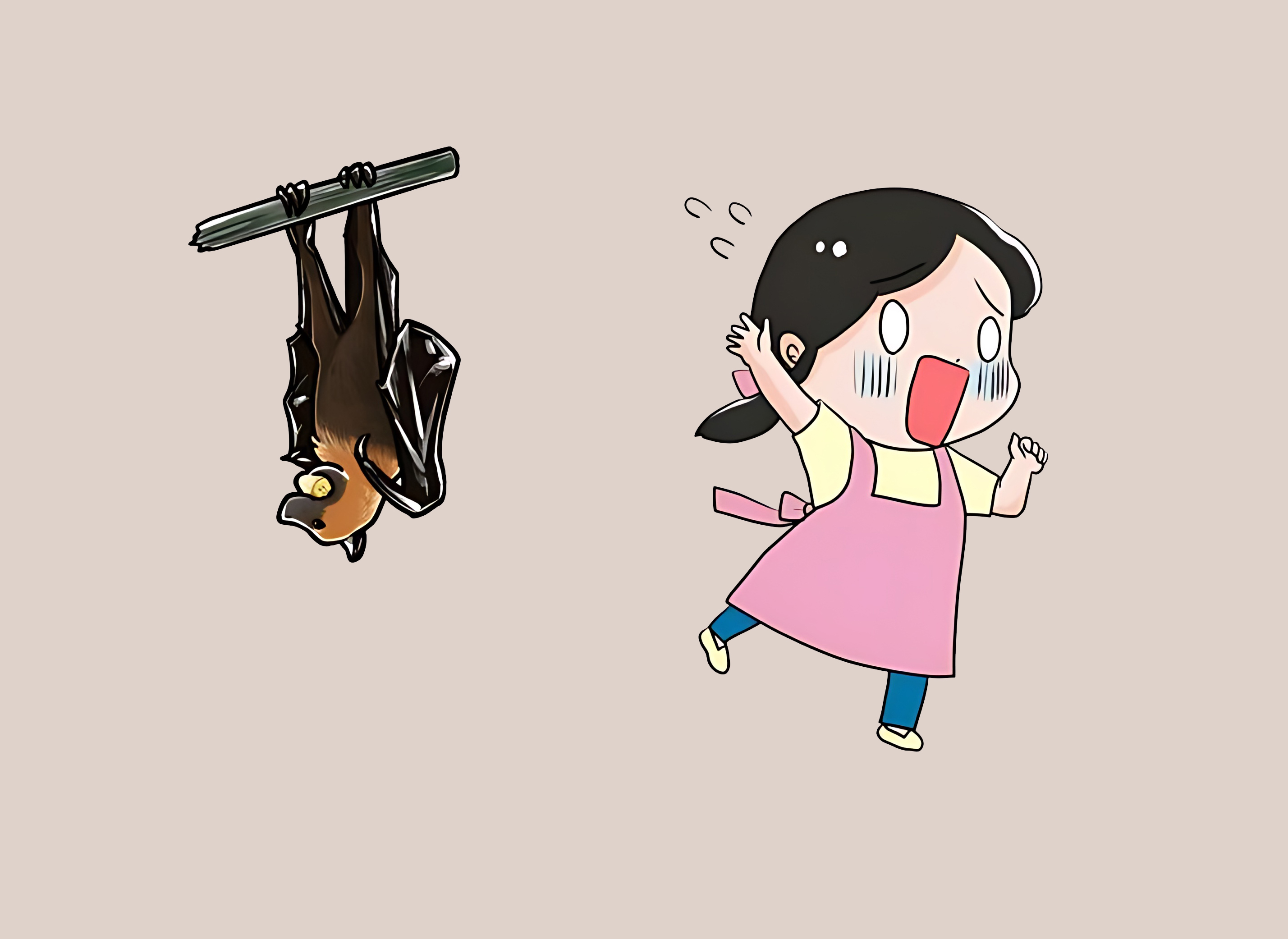 과일박쥐와의-접촉