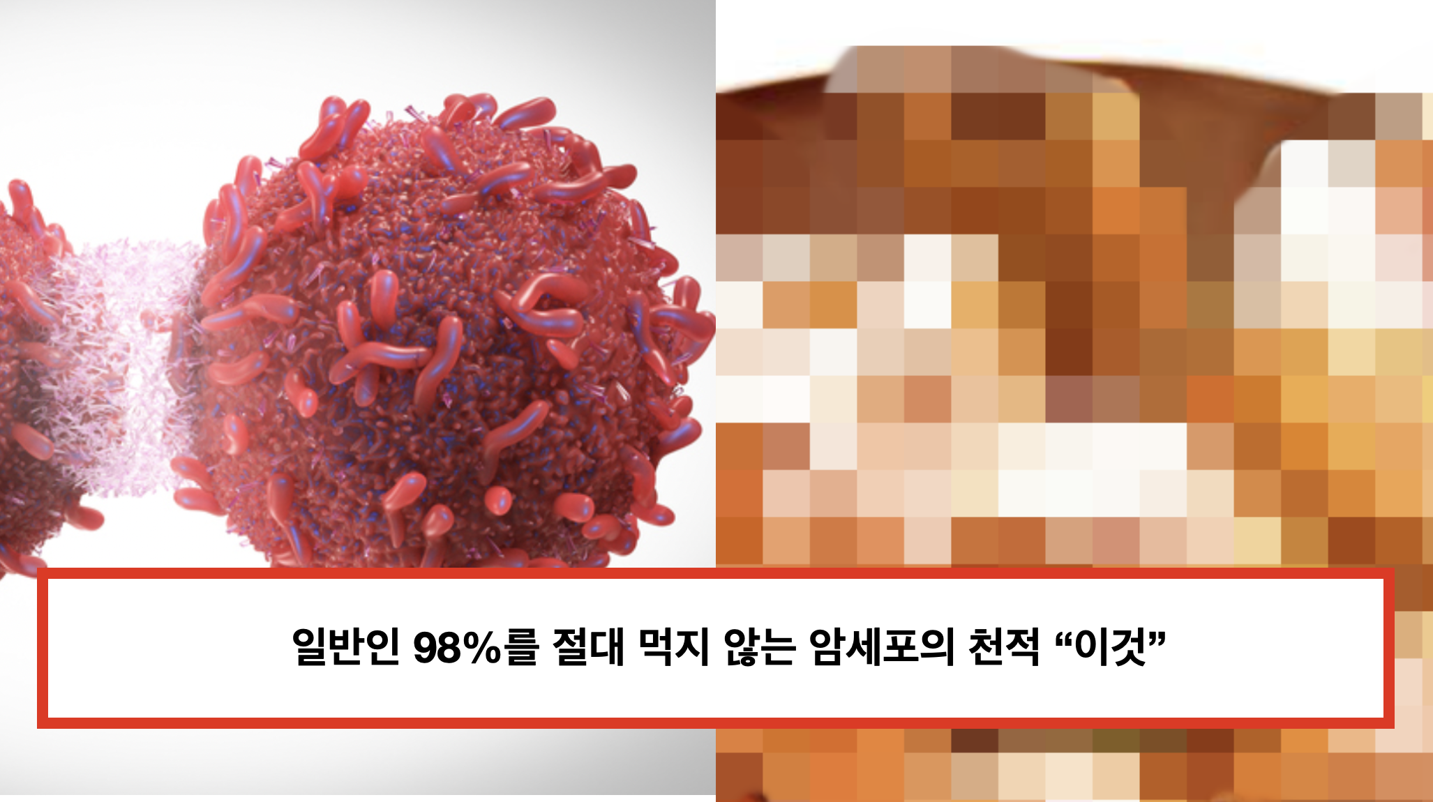 암세포 양파껍질