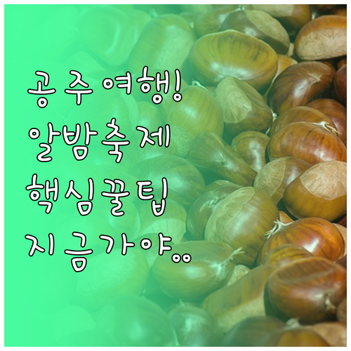 공주 1월 가볼만한곳 추천 및 알밤 ..