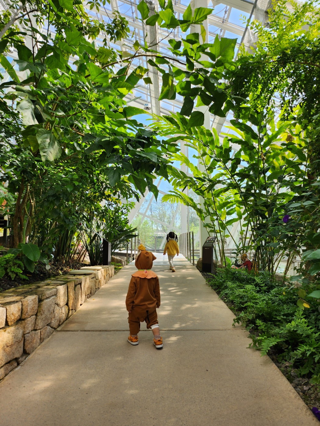 온실 안을 걸어가는 아이들