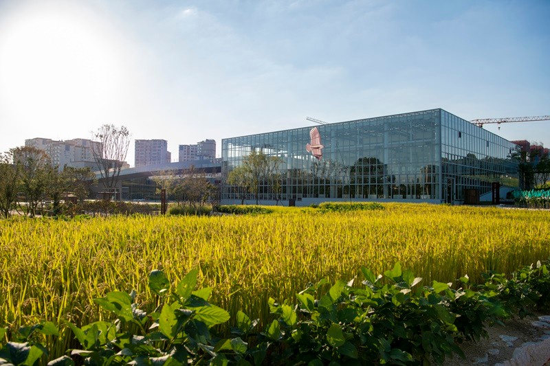 국립농업박물관 어린이박물관 (수원) 농업과 자연을 배우는 무료 교육 공간