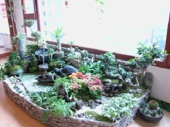 실내정원 꾸미기 화분선택 배치요령 물주기 통풍 어르신도 쉬운 동선_9