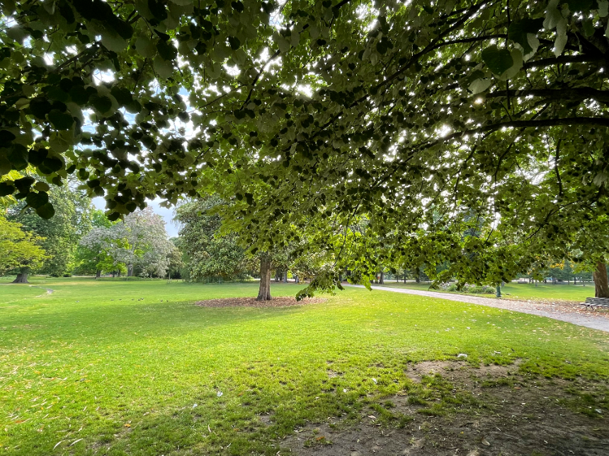 보르도 식물원 넓은 잔디마당
