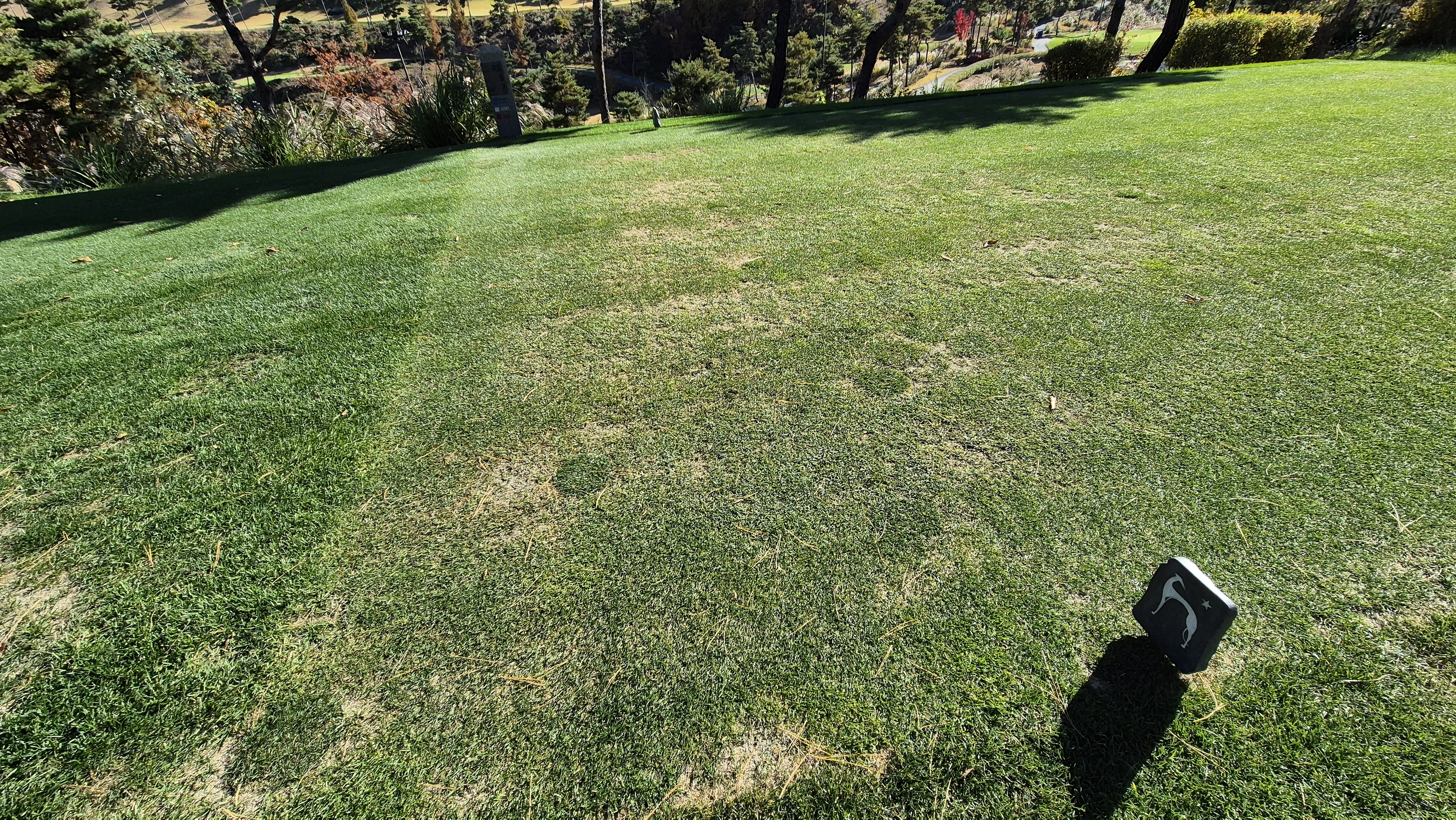 레이캐슬cc 티잉구역 상태