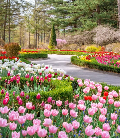 가평 봄꽃 페스타