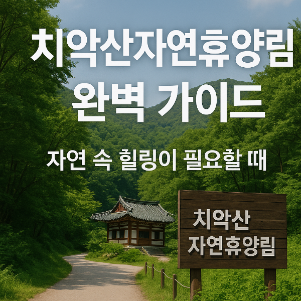 치악산자연휴양림 완벽 가이드 - 자연 속 힐링이 필요할 때