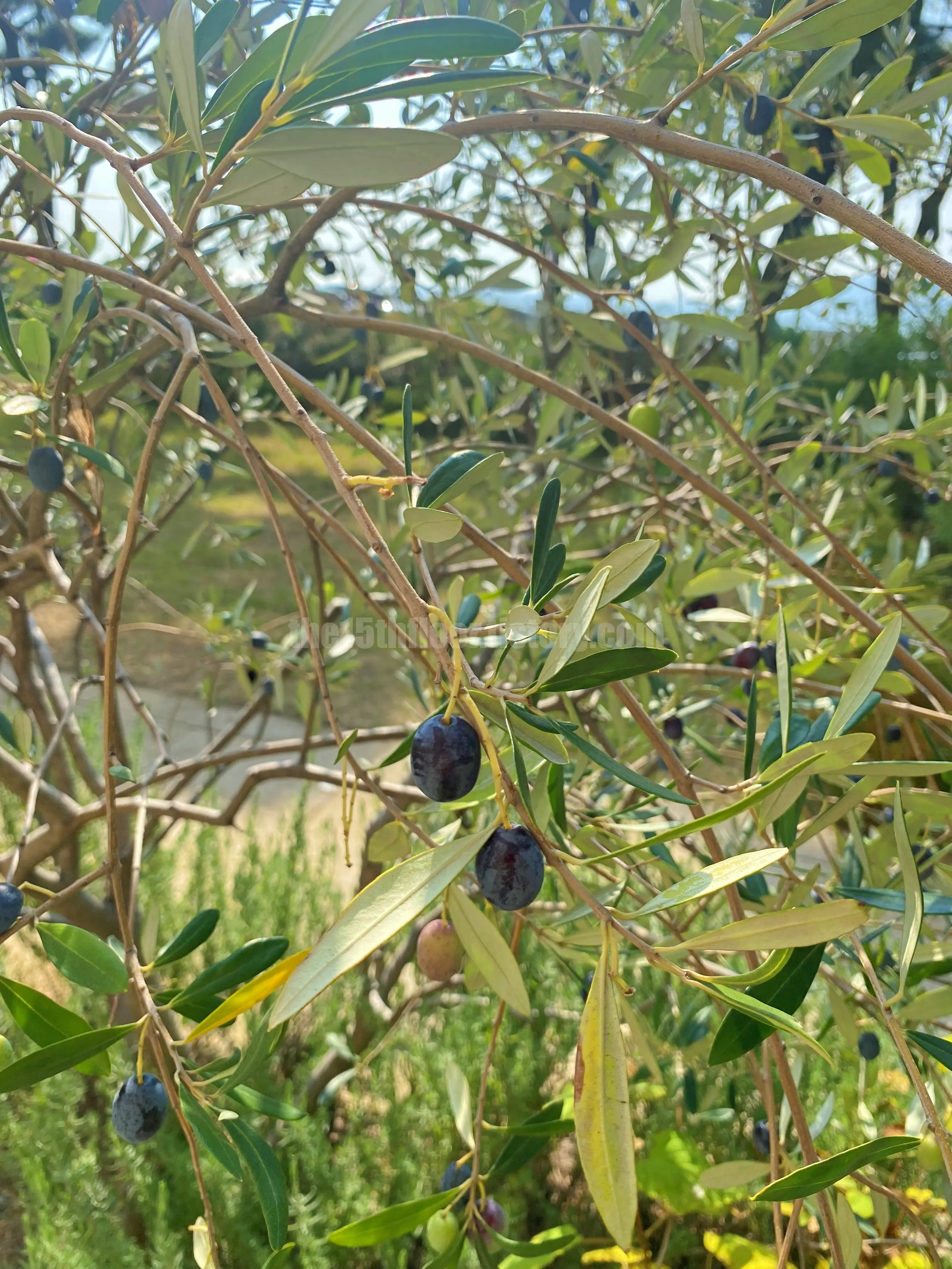 부산 해운대구 &amp;#39;모모스커피&amp;#39; 마린시티점 (외부)