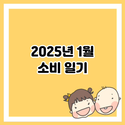 2025년 1월 소비 일기