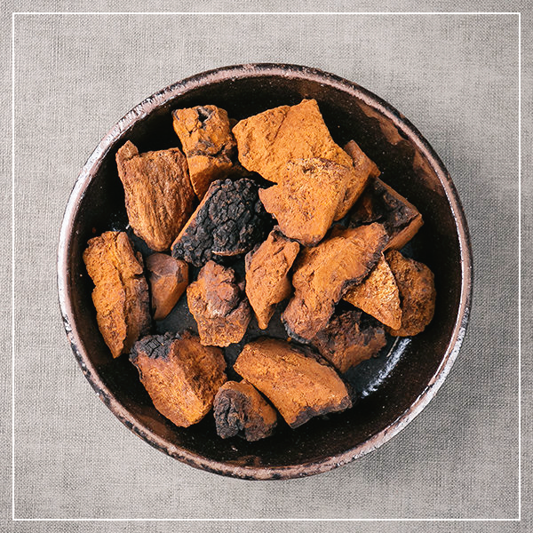 상황버섯-부작용