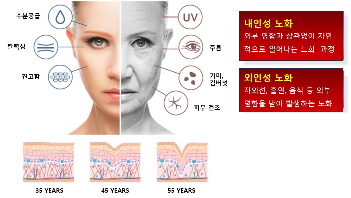 썬크림