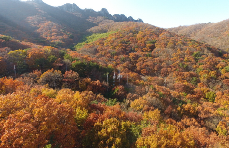 팔영산 자연휴양림