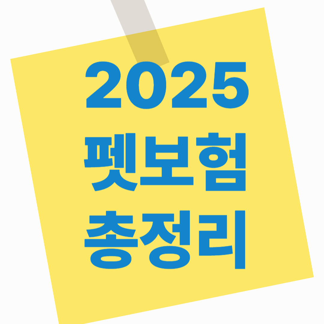 📌 2025년 펫보험 추천 총정리