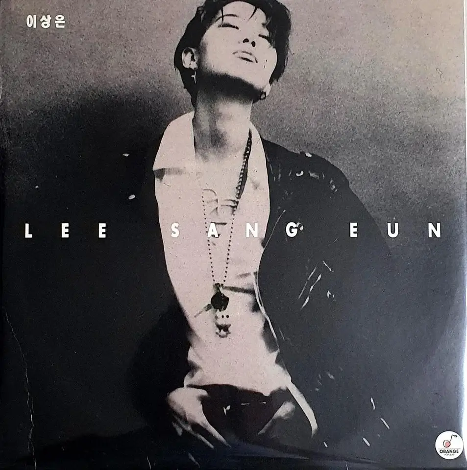 가수-이상은