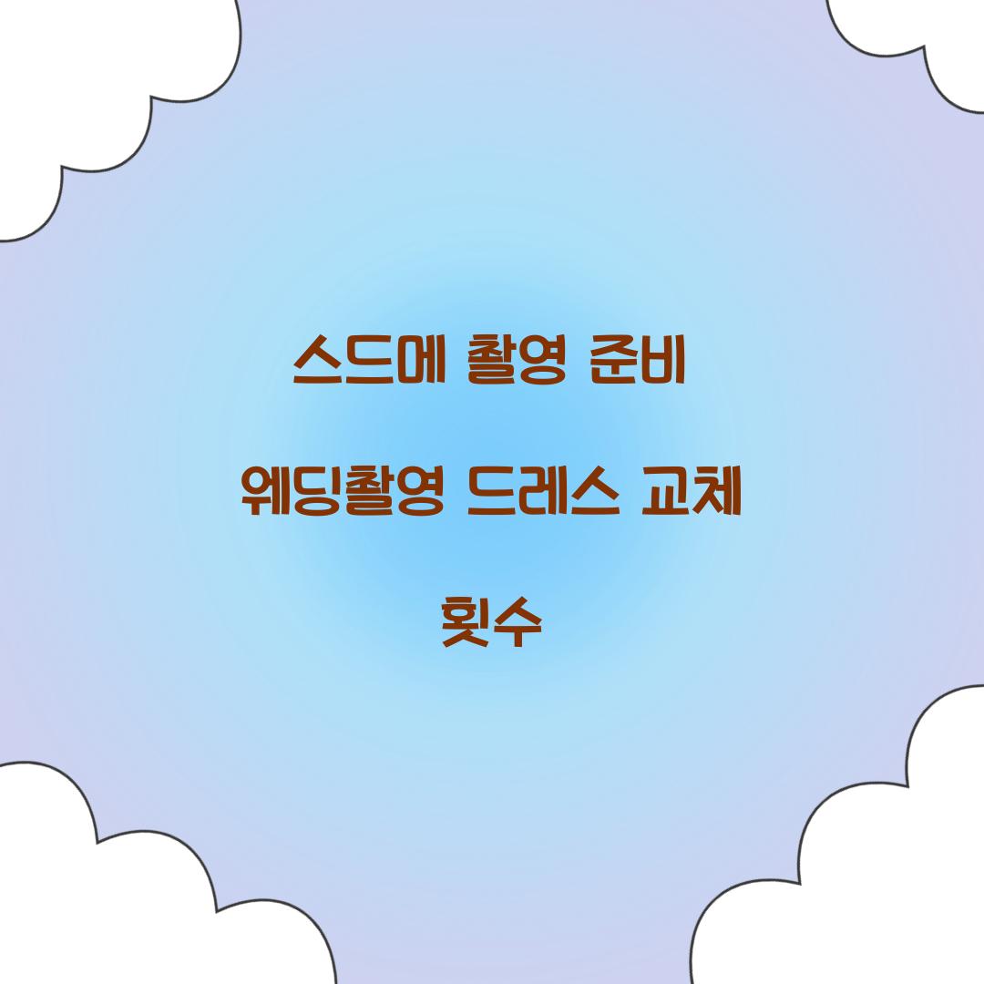 스드메 촬영 준비 웨딩촬영 드레스 교체 횟수