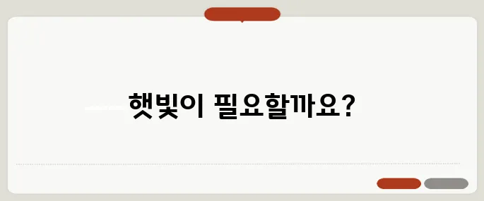 비타민D 부족 증상 햇빛 부족이 건강에 미치는 영향