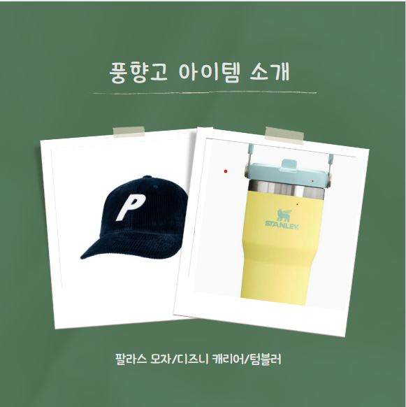 풍향고 모자