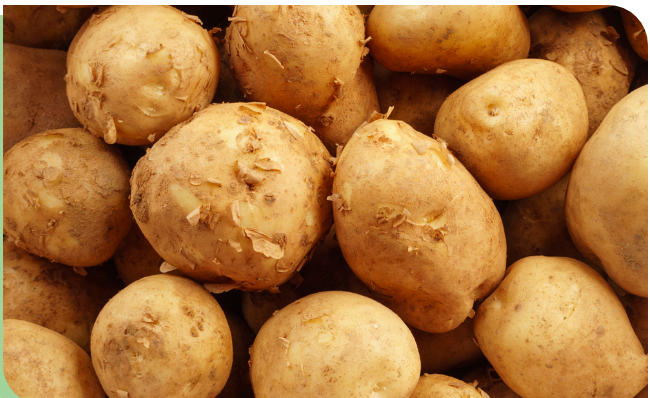 당진 송악감자 관련 사진