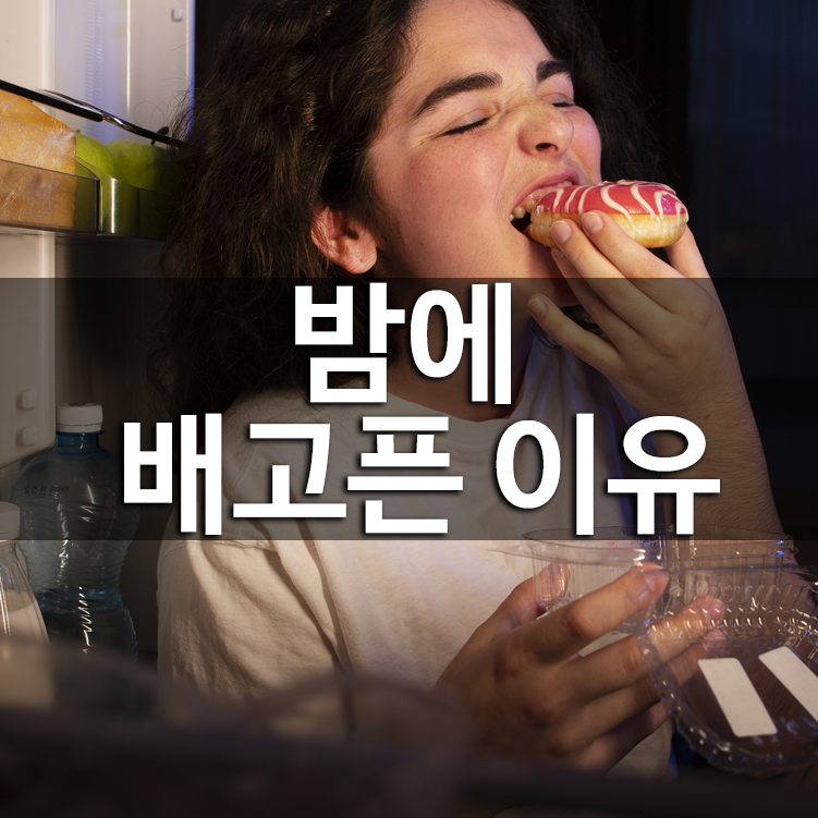 밤에 배고픈 이유