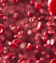 콜레스테롤 낮추는 방법 음식 과일