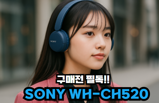 SONY WH-CH520