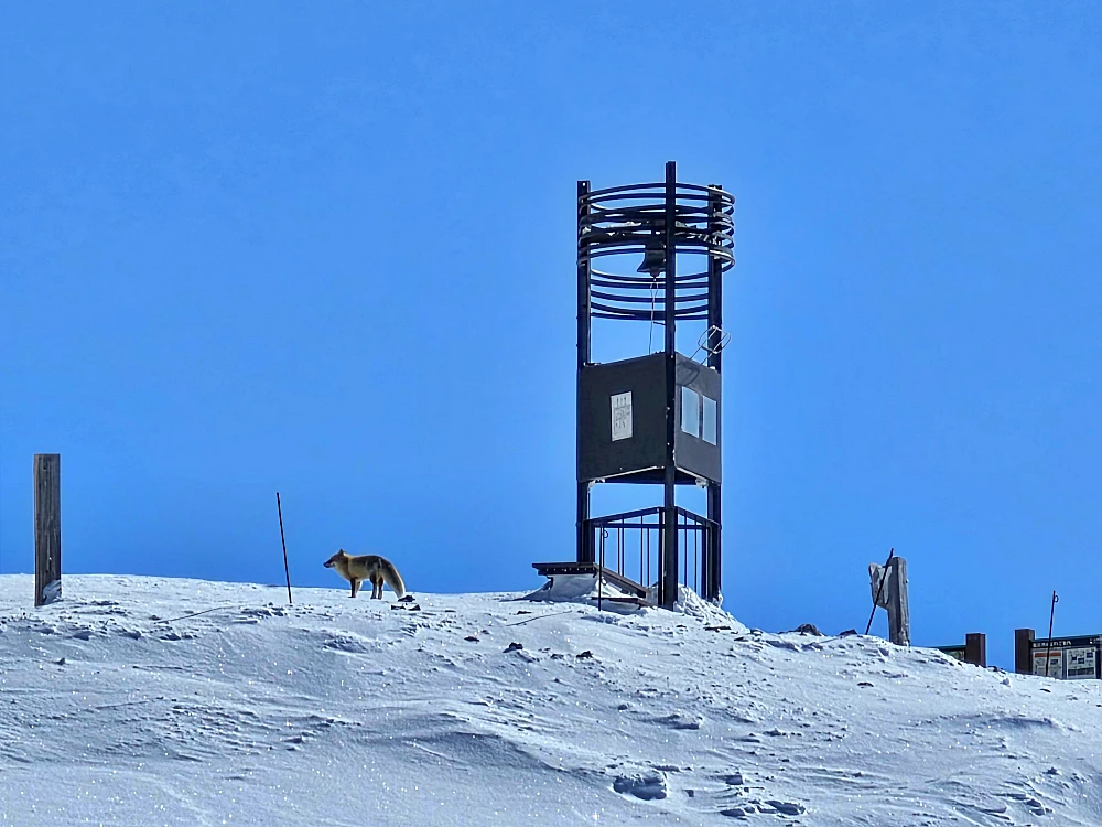 아사히다케 로프웨이 트래킹 투어 5