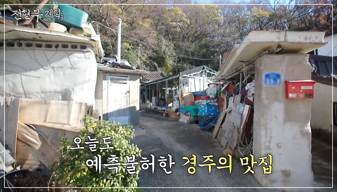 허름한 가정집을 개조한 경주 간판없는 자연산횟집 외부 모습