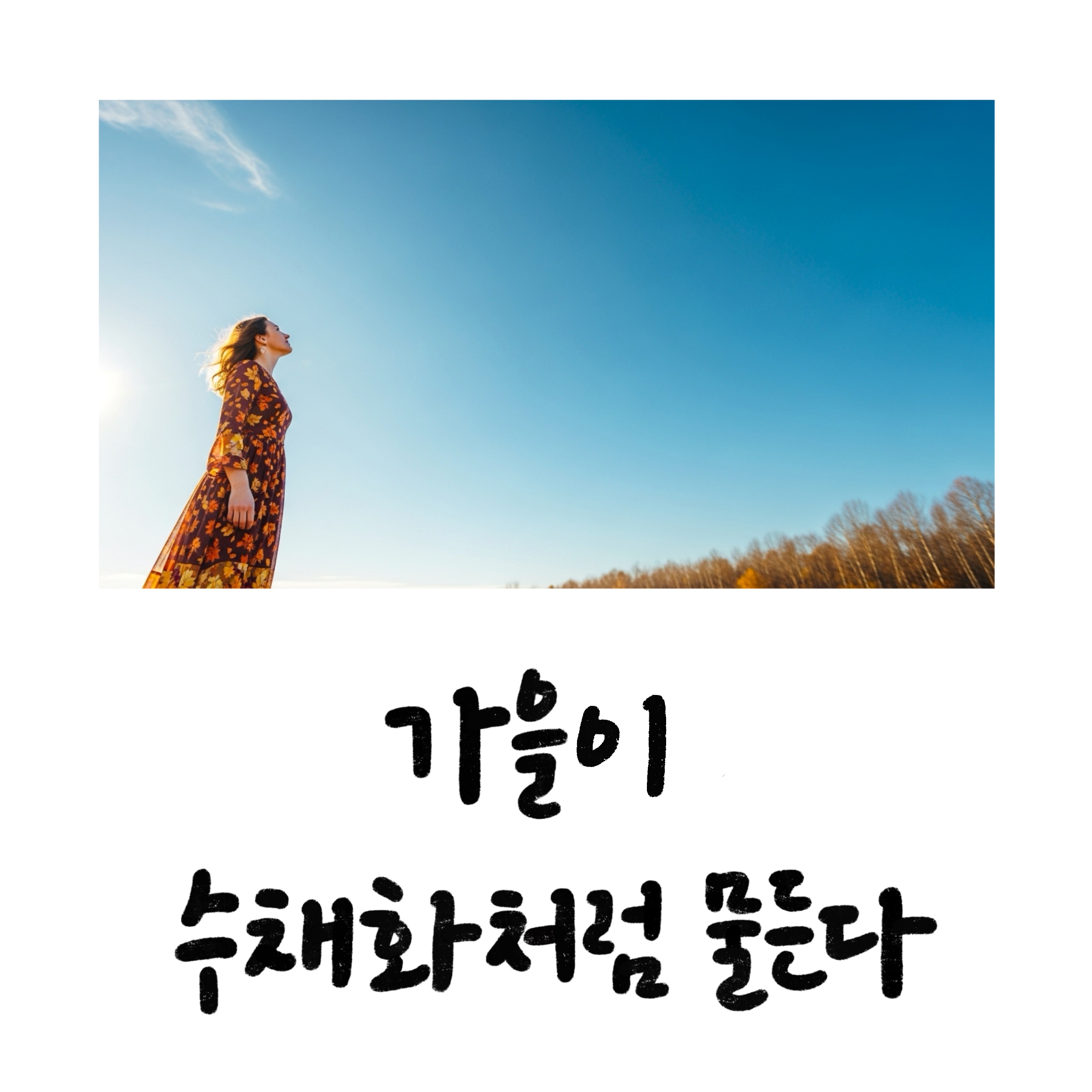 가을 감성 담은 캘리그라피 문구 50