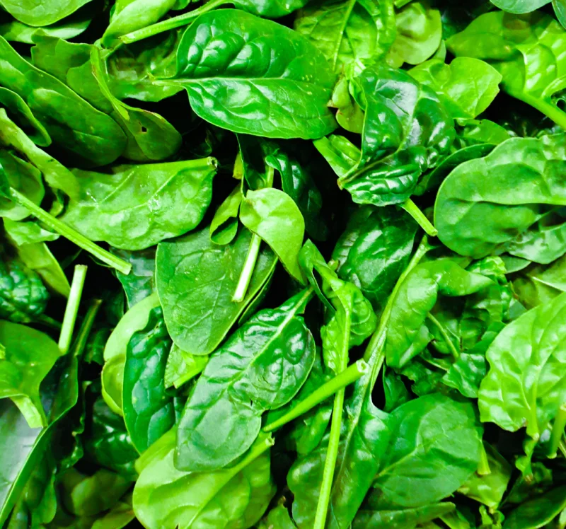 이석증에 좋은 음식