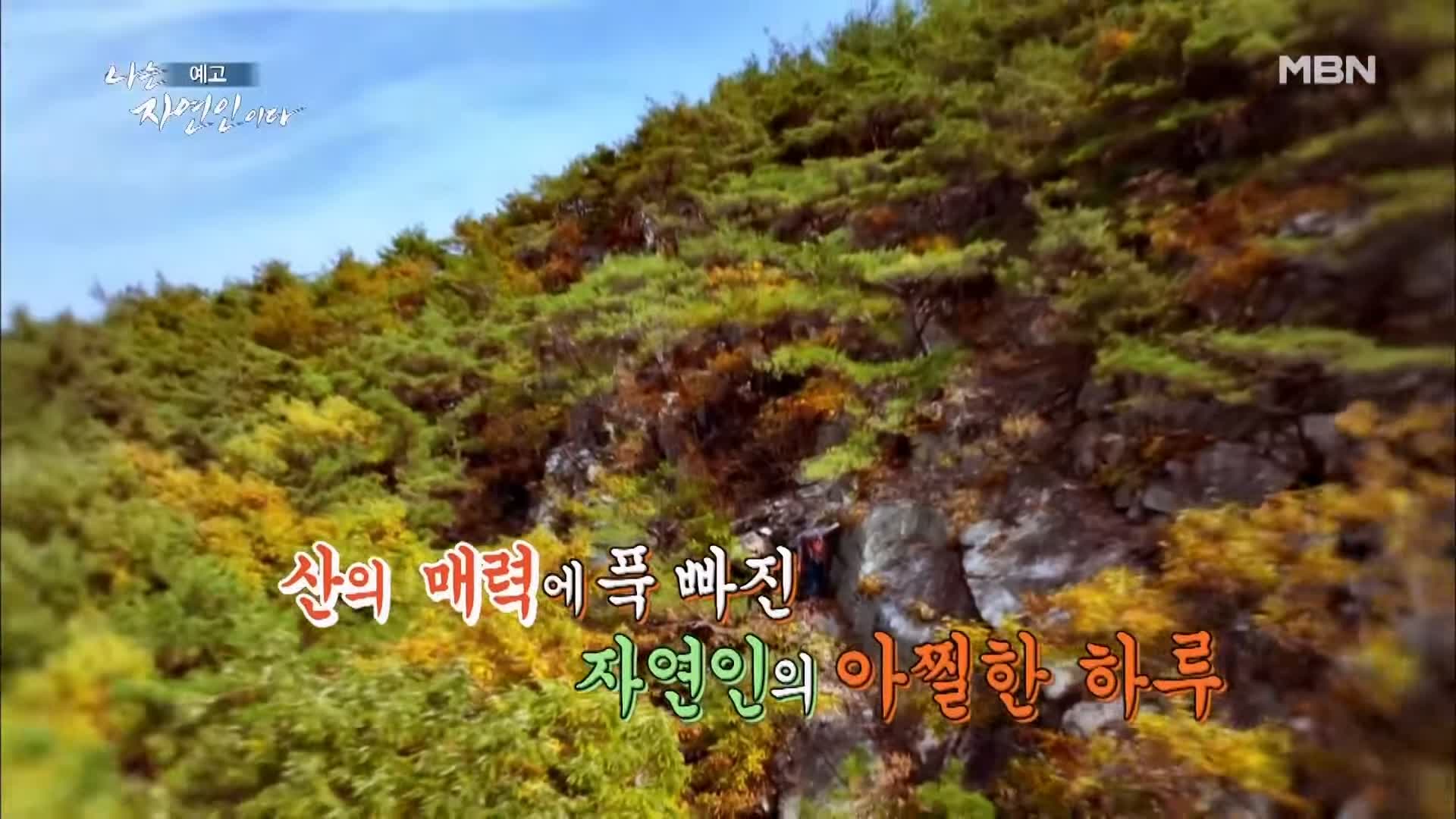 이승윤 윤택 나는 자연인이다 내가 산에 사는 재미 하수오 제피 담금주 골쇄보 자연인 배정수 소개 및 출연 529회 다시보기