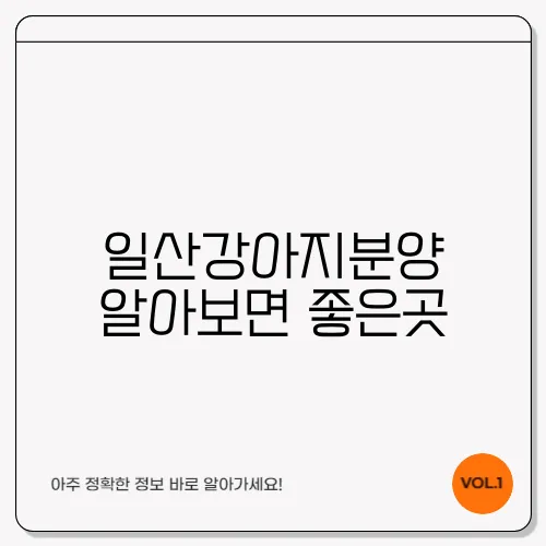 일산강아지분양 알아보면 좋은곳