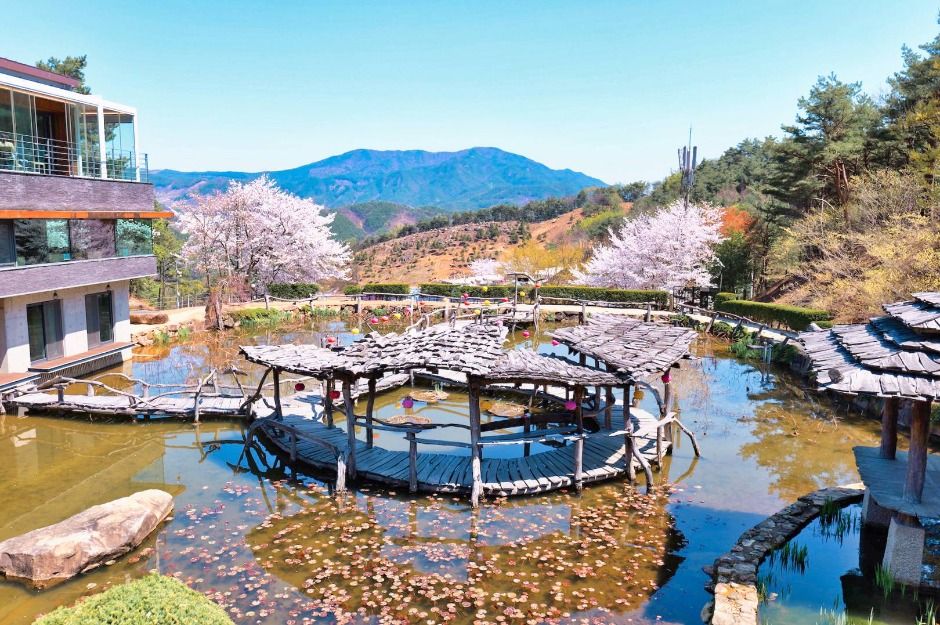 산청 가볼만한곳 베스트10