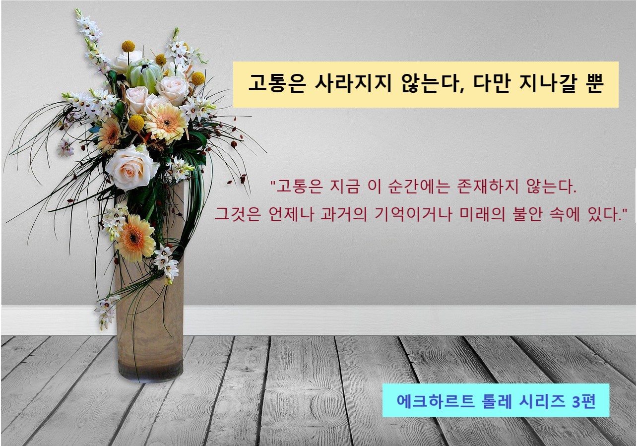 고통은 사라지지 않는다. 에크하르트 톨레 관련 이미지