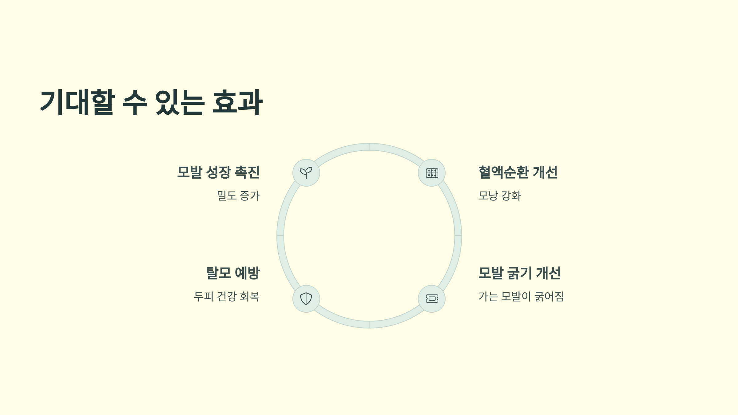 탈모 치료 기계 헤어빔 탈모 치료 효과와 사용 후기 총정리