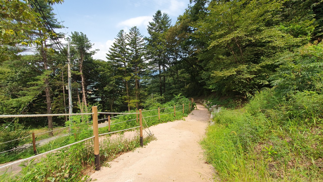 청평자연휴양림